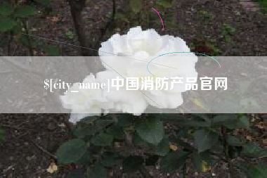 射洪中国消防产品官网