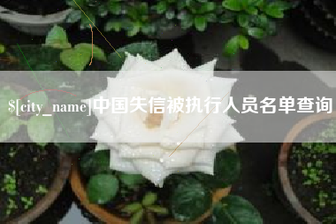 射洪中国失信被执行人员名单查询