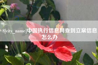 射洪中国执行信息网查到立案信息怎么办
