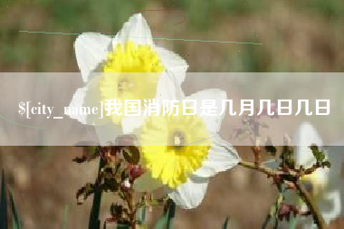 射洪我国消防日是几月几日几日