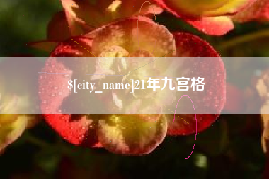 射洪21年九宫格