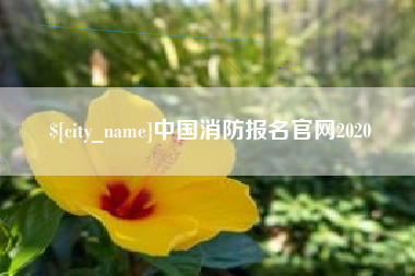 射洪中国消防报名官网2020