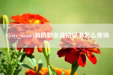 射洪消防职业资格证书怎么查询
