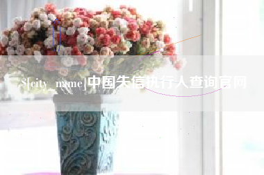 射洪中国失信执行人查询官网