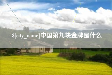 射洪中国第九块金牌是什么