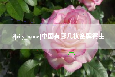 射洪中国有哪几枚金牌得主