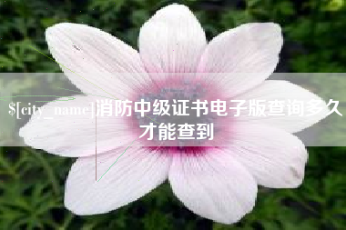 射洪消防中级证书电子版查询多久才能查到