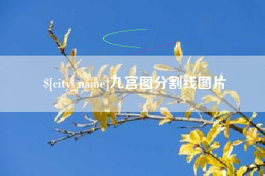 射洪九宫图分割线图片