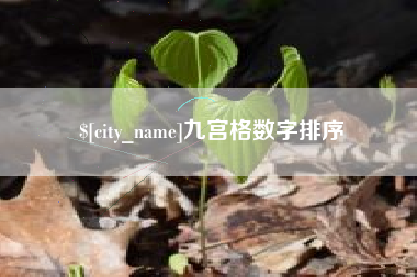 射洪九宫格数字排序