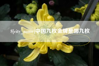 射洪中国九枚金牌是哪九枚