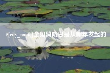 射洪全国消防日是从哪年发起的