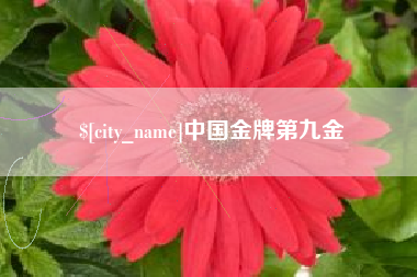 射洪中国金牌第九金