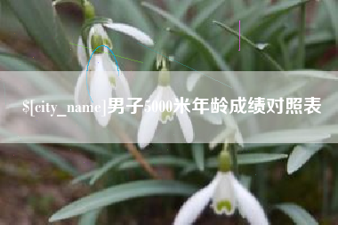 射洪男子5000米年龄成绩对照表