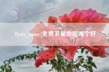 射洪免费卫星地图哪个好