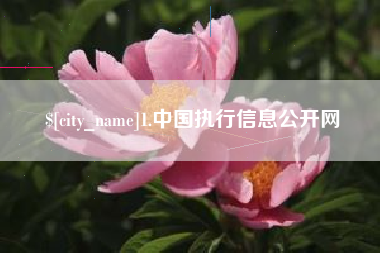 射洪1.中国执行信息公开网