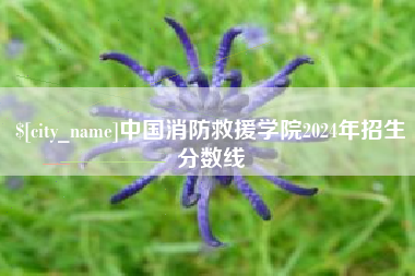 射洪中国消防救援学院2024年招生分数线