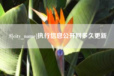 射洪执行信息公开网多久更新