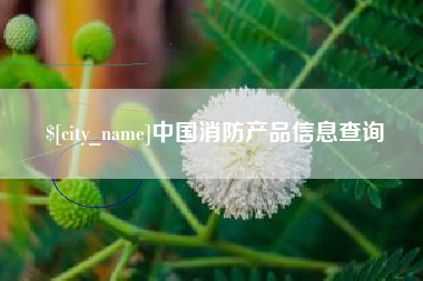 射洪中国消防产品信息查询