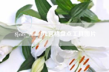 射洪九宫格盘点工具图片