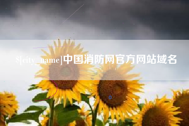 射洪中国消防网官方网站域名