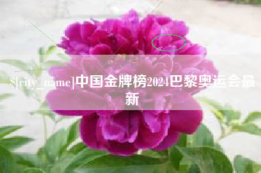 射洪中国金牌榜2024巴黎奥运会最新
