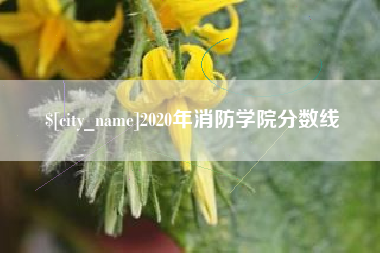射洪2020年消防学院分数线