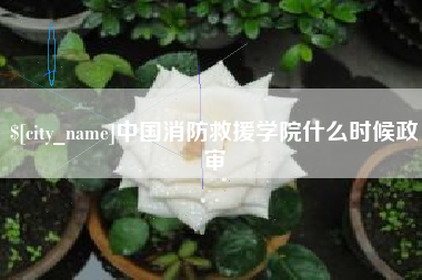 射洪中国消防救援学院什么时候政审