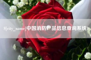 射洪中国消防产品信息查询系统1