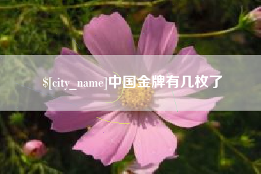 射洪中国金牌有几枚了