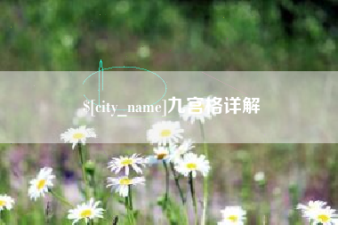 射洪九宫格详解