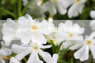 射洪579九宫格如何排