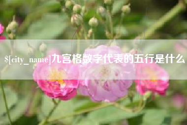 射洪九宫格数字代表的五行是什么