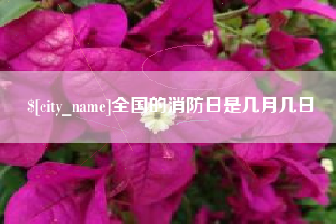 射洪全国的消防日是几月几日