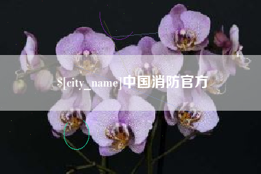 射洪中国消防官方