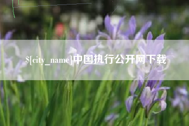 射洪中国执行公开网下载