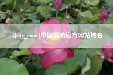 射洪中国消防官方网站域名