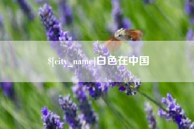 射洪白色在中国