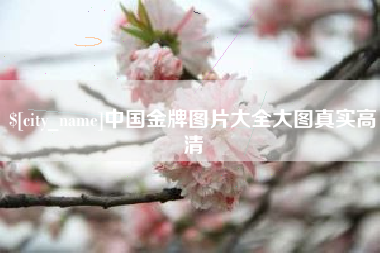 射洪中国金牌图片大全大图真实高清