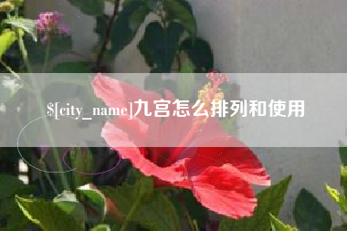 射洪九宫怎么排列和使用