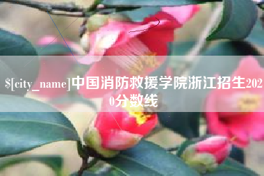 射洪中国消防救援学院浙江招生2020分数线