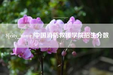 射洪中国消防救援学院招生分数
