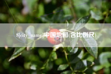 射洪中国地图(含比例尺)