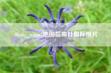射洪地图指南针图标图片