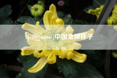 射洪中国金牌样子