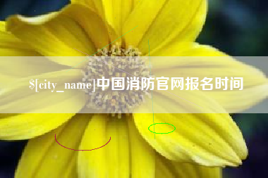 射洪中国消防官网报名时间
