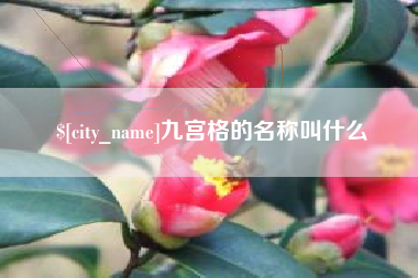 射洪九宫格的名称叫什么