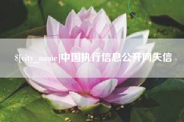 射洪中国执行信息公开网失信