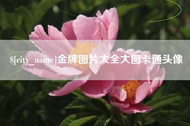 射洪金牌图片大全大图卡通头像
