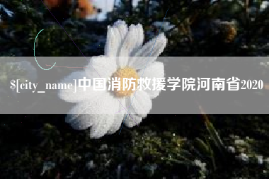 射洪中国消防救援学院河南省2020